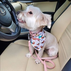 Meet your Posher, Rin